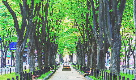 公共事業・街頭防犯